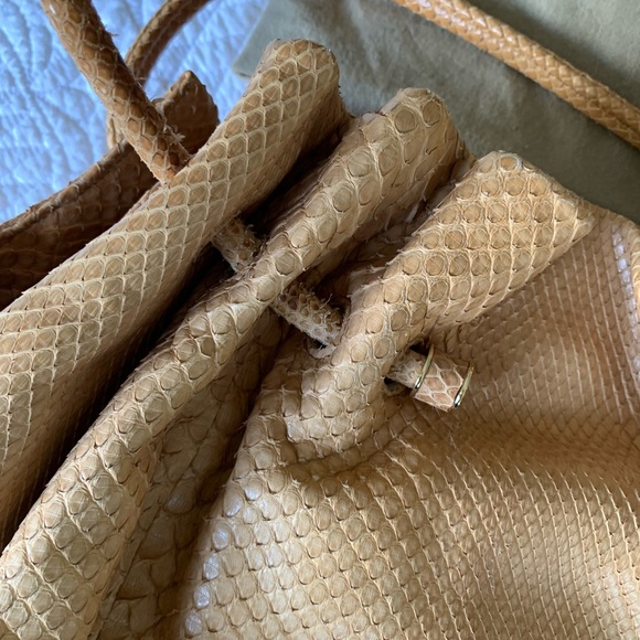 BOTTEGA VENETA snake skin bag. Great condition. Beautiful Bag. - Picture 5 of 14